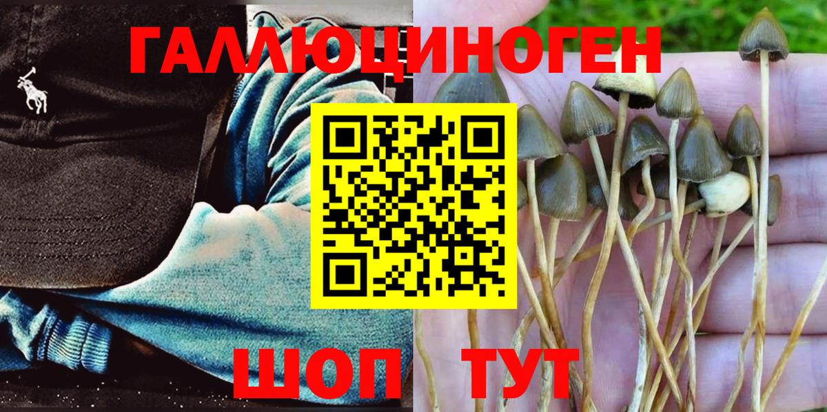 Галлюциногенные грибы мицелий Жигулёвск